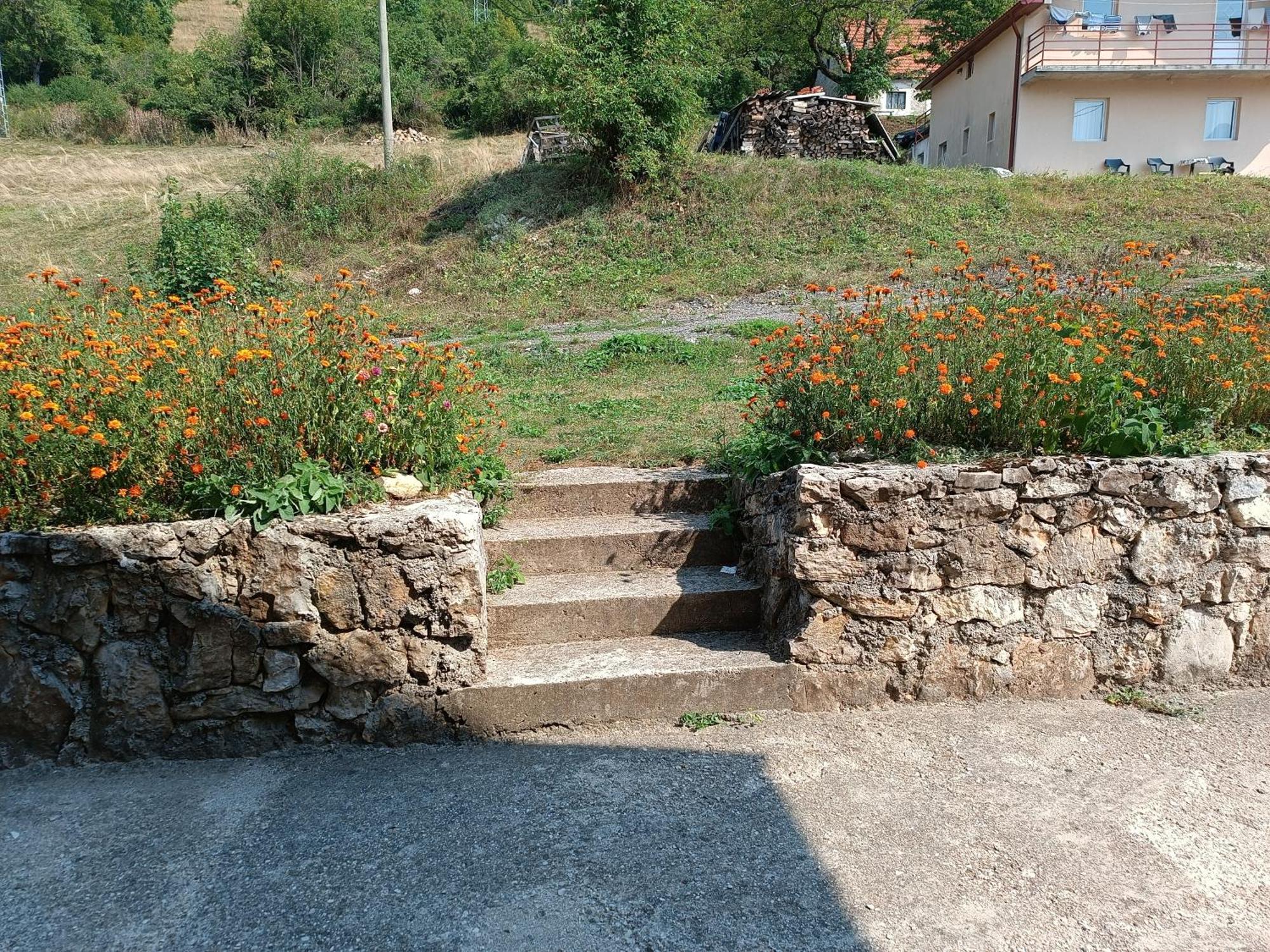 Apartment Pantovic Plužine Buitenkant foto